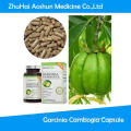 Garcinia Cambogia emagrecimento cápsula de emagrecimento